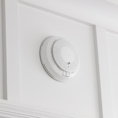 Kalamazoo smoke detector adt